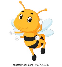 vector illustration of honey bee on a white background