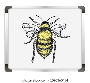 Vector illustration of honey bee on flip chart background. Hand drawn.
