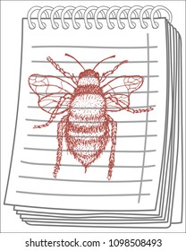 Vector illustration of honey bee on notebook background. Hand drawn.