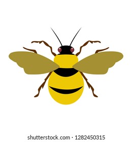Vector illustration of honey bee on white background