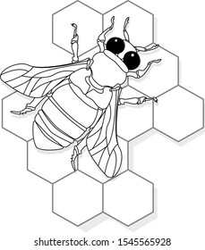 Vector illustration of honey bee on white background. Coloring image.