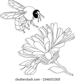 Ilustración vectorial de la abeja sobre fondo blanco. Imagen coloreada.