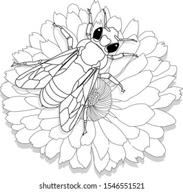 Vector illustration of honey bee on white background. Coloring image.
