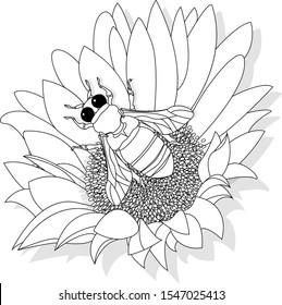 Vector illustration of honey bee on white background. Coloring image.