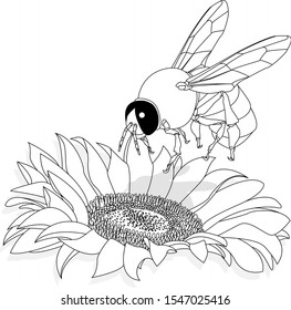 Vector illustration of honey bee on white background. Coloring image.