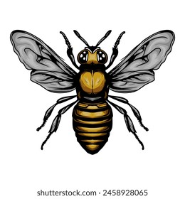 Vector illustration of honey bee on white background