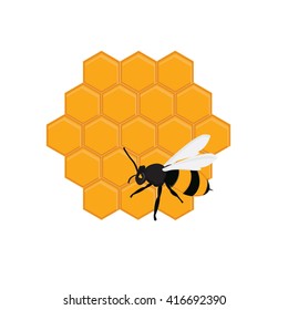 Vector illustration honey bee on honeycomb. 