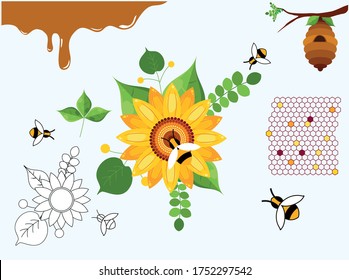 Vector Illustration of Honey Elements: Like honey, bee, honeycomb, Sunflower, leaf. Design element, outline set, icons of honey symbols, Vector illustration, eps 10.