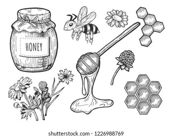 Vector illustration of a honey set. Jar with cloth and rope, bee, field flowers, spoon, honeycomb. Hand drawn doodle style.