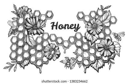 Vector illustration of honey set. Sweet composition with blooming flowers and working bees on honeycombs background and lettering. Vintage hand drawn style.