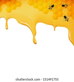 Vector  Illustration of Honey viscous liquid vector