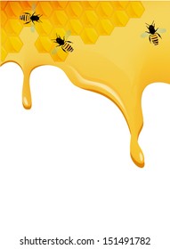 Vector  Illustration of Honey viscous liquid vector