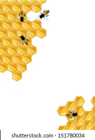 Vector Illustration of Honey viscous liquid vector 