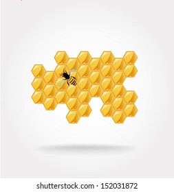 Vector Illustration of Honey viscous liquid vector 