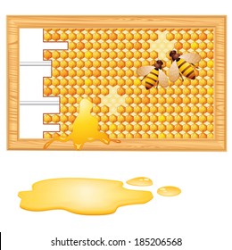 Vector illustration of honeycomb.