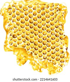 Vector illustration of a honeycomb 