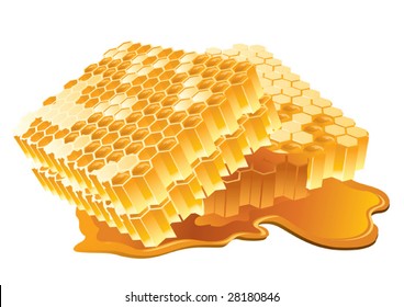 Vector illustration of honeycomb