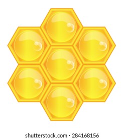 Vector illustration of honeycomb 