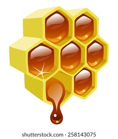 Vector illustration of honeycomb with honey inside.