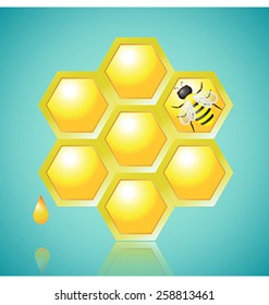 Vector Illustration - Honeycombs and Bee on Blue Background