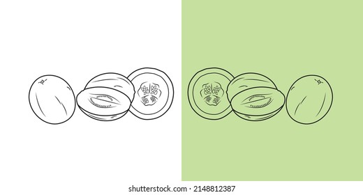 Vector illustration of Honeydew or Melon with different shape on isolated backgrounds.