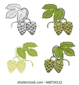Vector illustration of hop branches isolated on white. Sketch design.