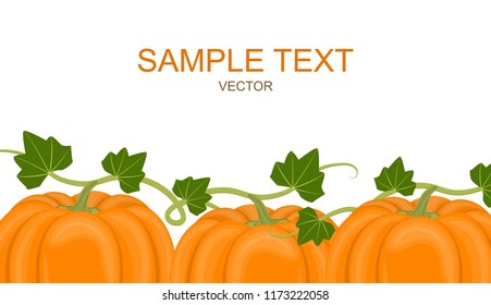 Vector illustration. Horizontal banner with autumn pumpkins.
