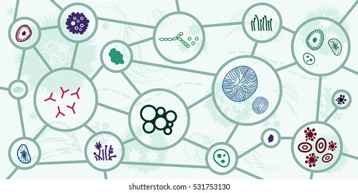 vector illustration of horizontal banner with bacterias in circles as species classification concept