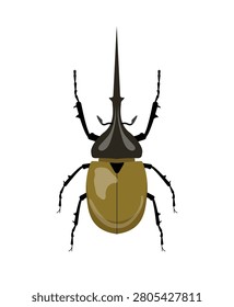 Vector illustration of a horn beetle. Dynastes hercules insect isolated on white background.
