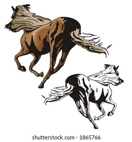 Vector illustration of a horse.