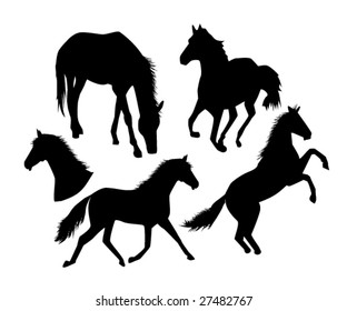 vector illustration of horse