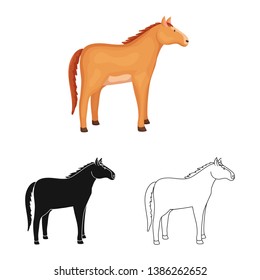 Vector illustration of horse and animal icon. Collection of horse and rearing  stock symbol for web.