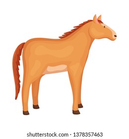 Vector illustration of horse and animal sign. Collection of horse and rearing  vector icon for stock.