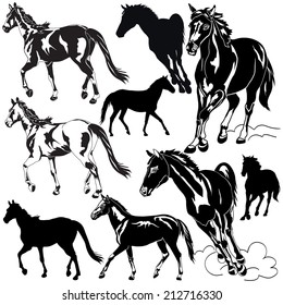 Vector illustration of horse animals