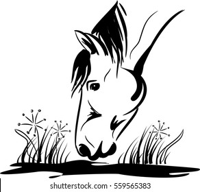 Vector illustration of horse eating grass on the ground