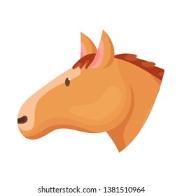 Vector illustration of horse and face  logo. Set of horse and pet  stock symbol for web.