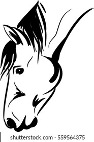 Vector illustration of horse head in down position