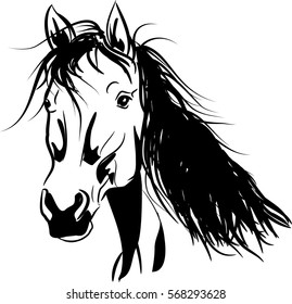 Vector illustration of horse head with long mane
