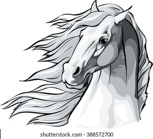 Vector illustration of a horse head with mane flowing in the wind.
