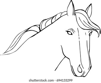 Vector illustration of a horse head outline. Isolated on white background. Template for coloring page, postcard, print.
