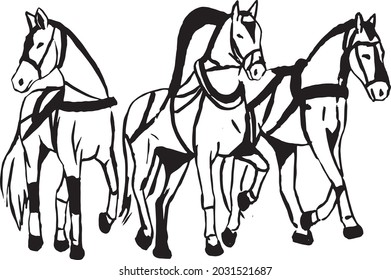 vector illustration. Horse. Horseback riding. Jockey. Illustration.
