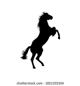 Vector illustration of a horse. Image of prancing horse silhouette.