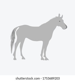 Vector illustration of a Horse isolated on grey background.