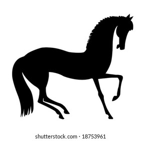 vector illustration horse on white background