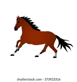 Vector illustration of horse on white background. Element for design.