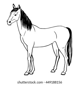 Vector illustration of a horse painted by hand. Isolated on white background. Doodle drawing , sketch of a horse. Side view. Stallion with long black mane and tail.