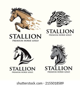 A vector illustration of horse portraits and stallion logos