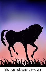 vector illustration of horse running on a grass under sunset