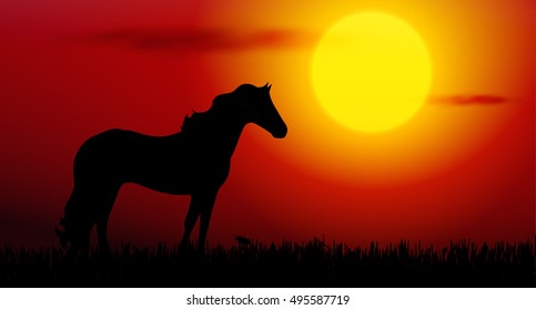 Vector illustration of horse silhouette on sunset