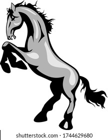 Ilustración vectorial de un caballo de pie